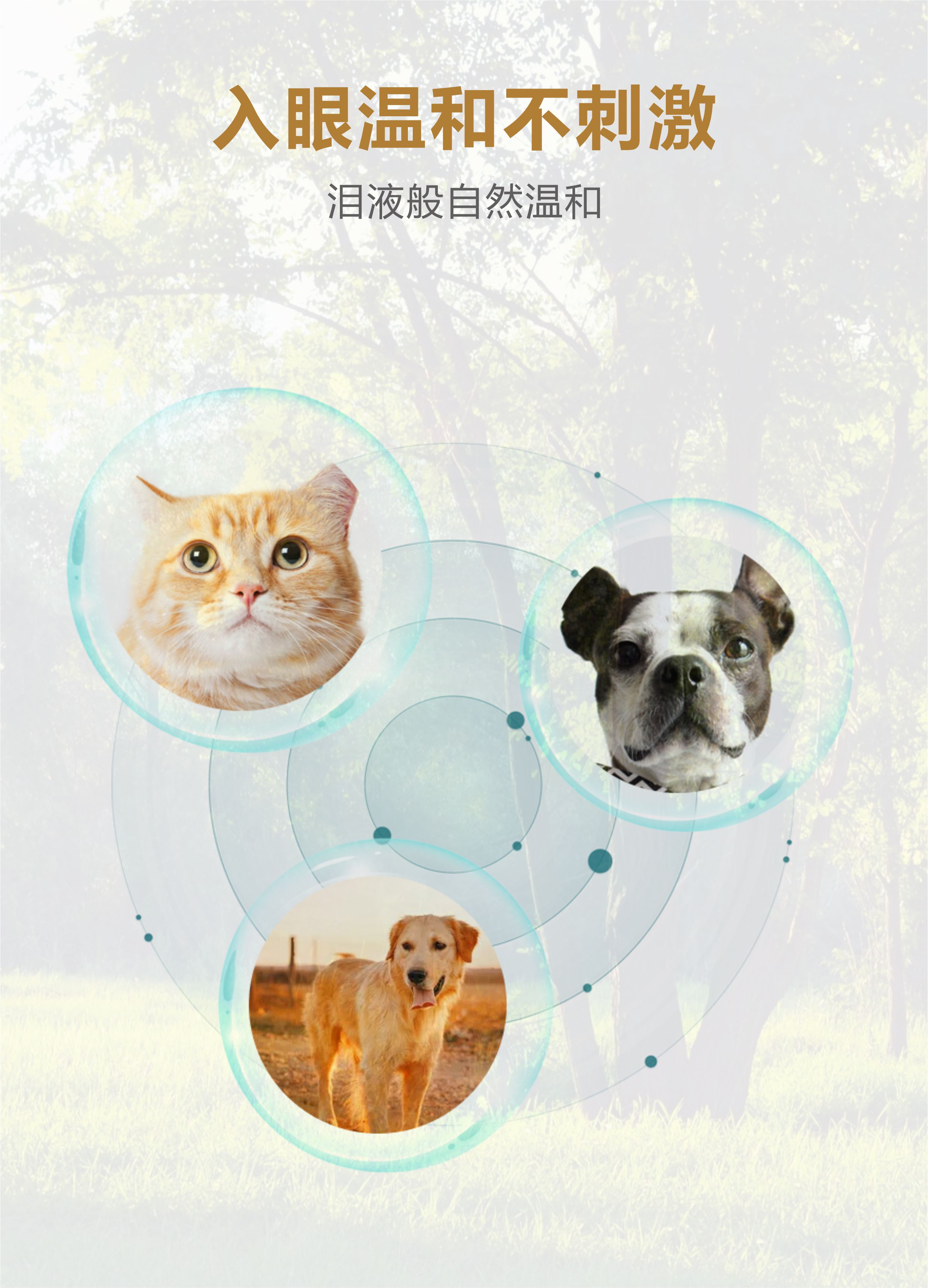微信图片_20240307151030.jpg