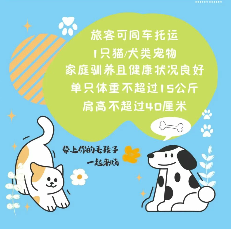 宠物高铁出行新福利！试点范围再拓展，20座车站加入“萌宠列车”