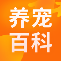 宠物疫苗接种误区指南：避开这些坑，守护毛孩子健康！