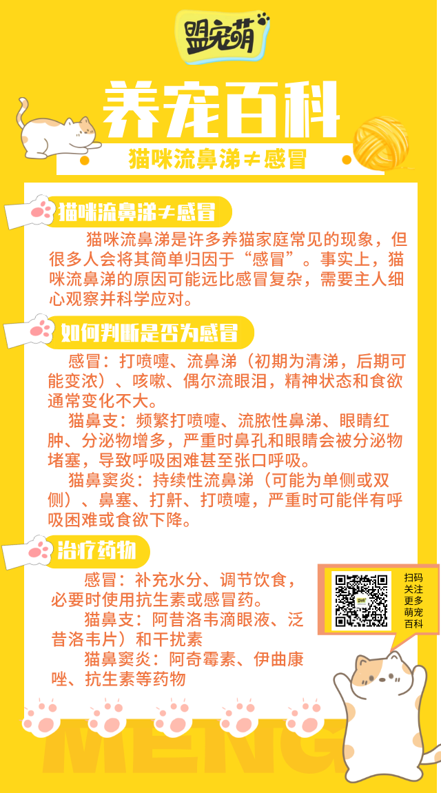 猫咪流鼻涕≠感冒.png