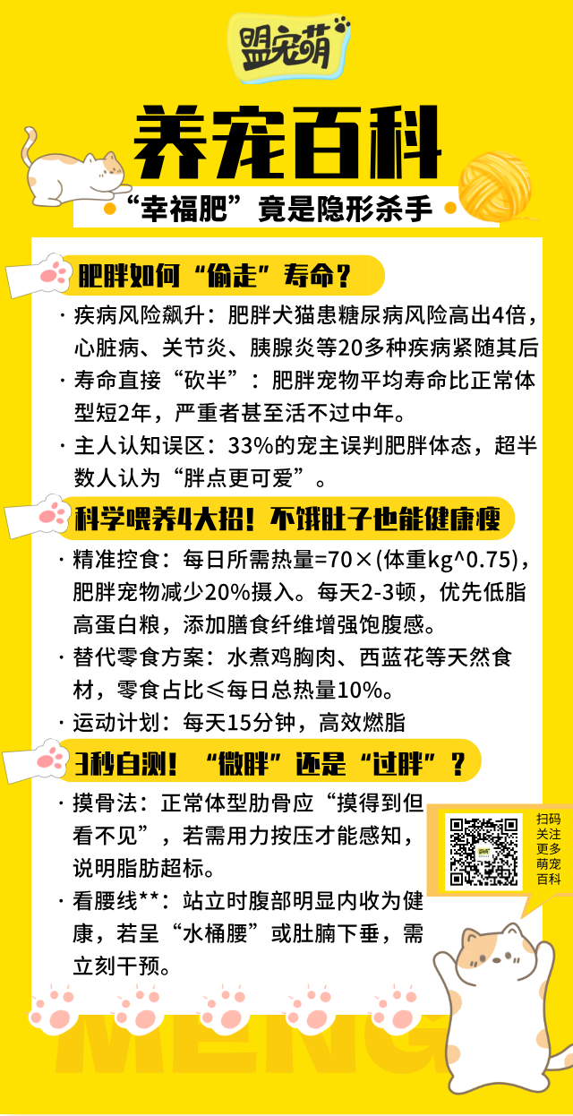 宠物肥胖：毛孩子“幸福肥”竟是隐形杀手，科学减肥全攻略.png