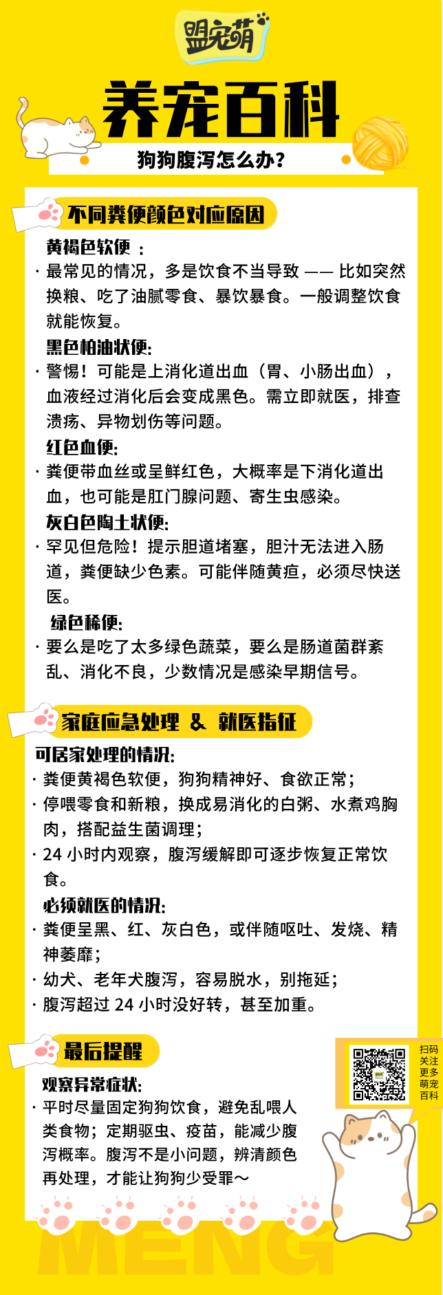 狗狗腹泻.png