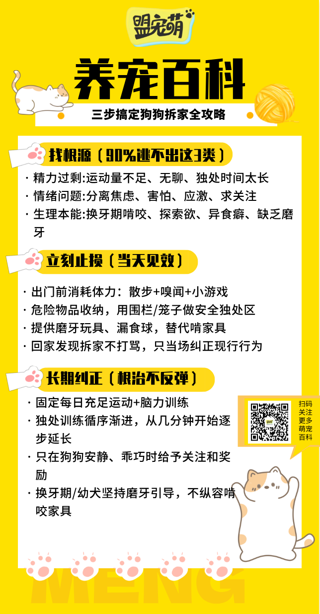 三步搞定狗狗拆家全攻略.png