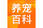 狂犬病不是闹着玩的！宠物疫苗≠人类安全！