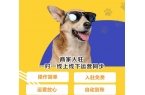 入驻盟宠萌商城，开启宠物行业财富新航道！