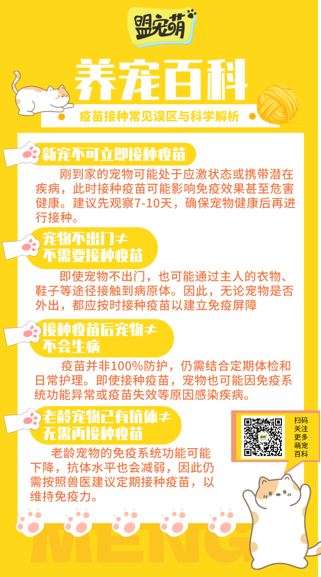 宠物疫苗接种常见误区与科学解析.png