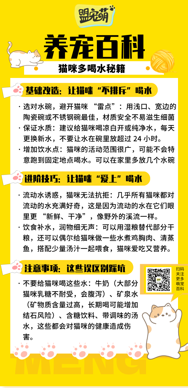 猫咪多喝水秘籍.png